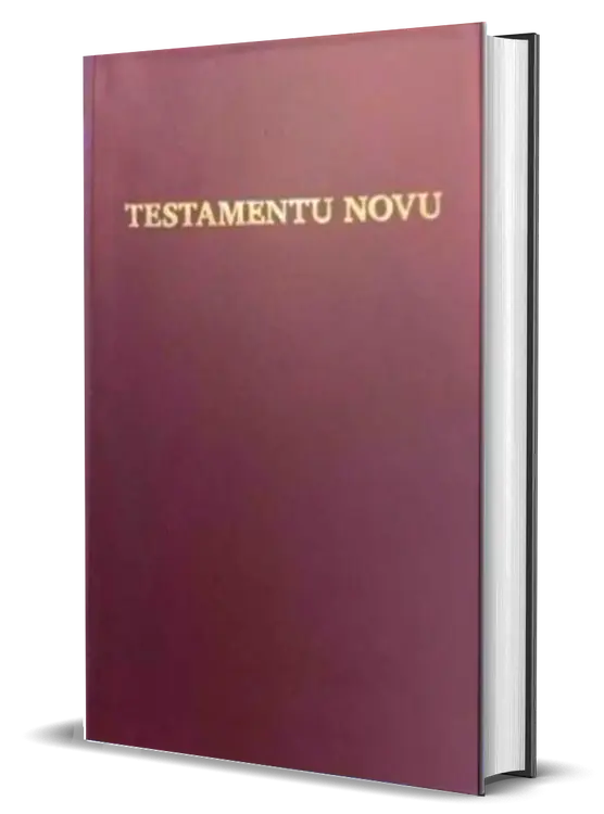 Nuevo Testamentu Fa d'Ambu
