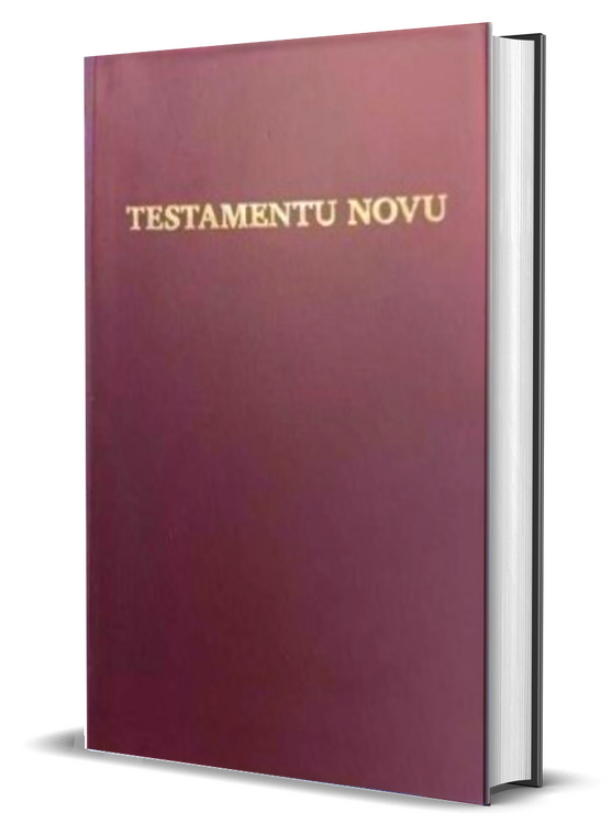 Nuevo Testamentu Fa d'Ambu