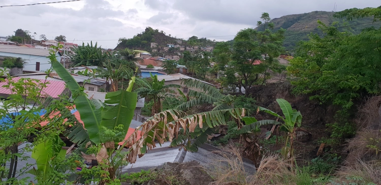 Fötö Sana Toñi Palea