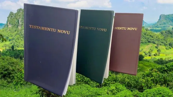 Nuevo Testamento en Fa d'Ambu